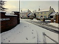 Wintry at The Beeches, Mullaghmore