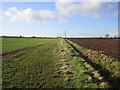 Field off Cocking Lane