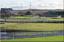 NT3975 : Site of the conveyor, Cockenzie power station by Richard Webb