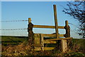 SE6235 : Stile near Angram Clough by Ian S
