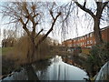 The River Colne by Waters Drive, Staines