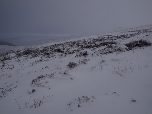 Heathery slopes of White Hillock near Braes of Fintock