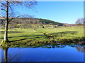 Spring joining the Monmouthshire and Brecon Canal, north of Mamhilad