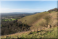 TQ2452 : The Horseshoe, Colley Hill by Ian Capper
