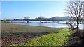 Footpath into the flood, 2