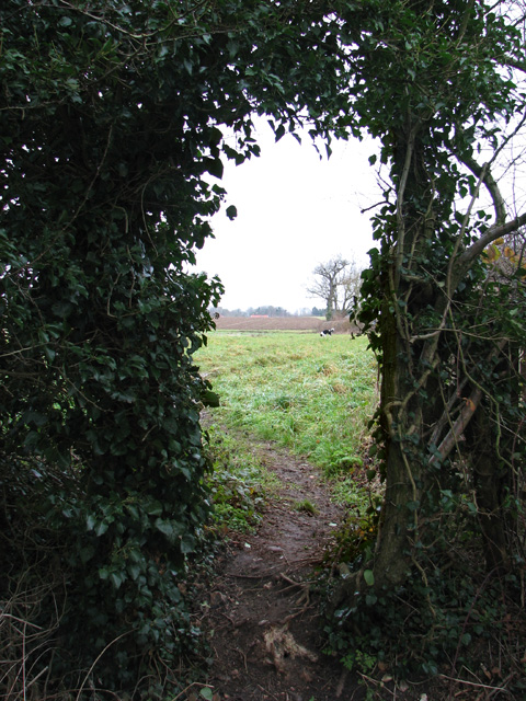 Path to Ashwellthorpe