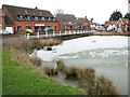 Frozen pond at Mulbarton Common