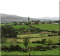 Valley floor bogland between Ballinasack Road and the Back Road, Mullaghbawn