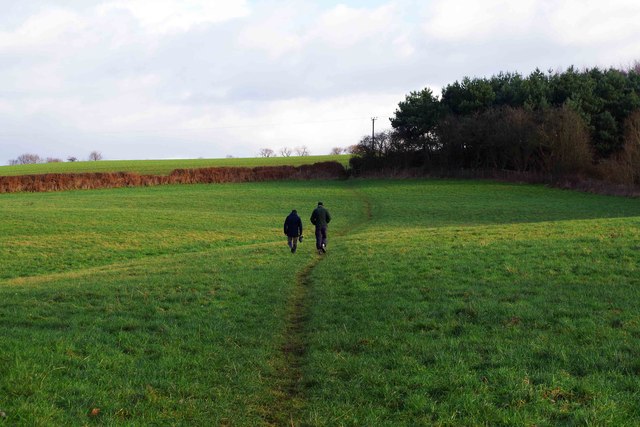North Worcestershire Path - walkers in field, near Caunsall, Worcs
