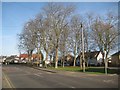 Hayes: Townfield Road Bus Stop