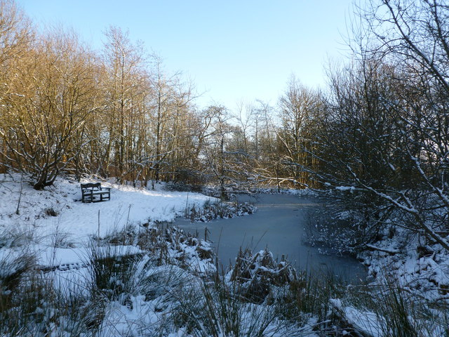 Frozen pond, Hillhouseridge