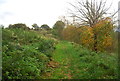 Footpath east of Cherry Tree Farm