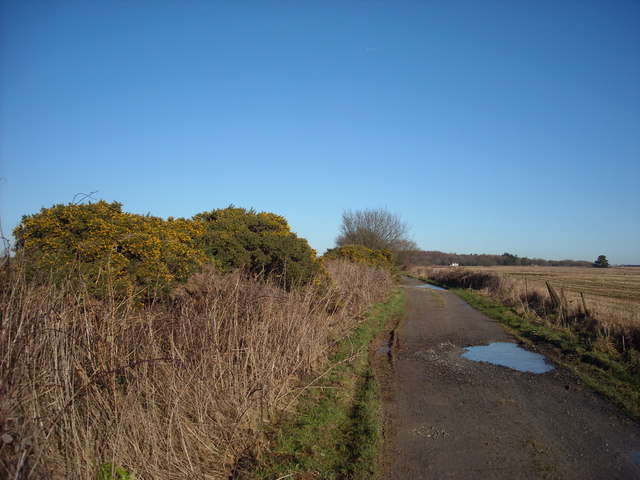 The Ridgeway, approaching Chase Wood