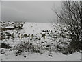 A snowy hill, Gillygooly