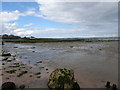 Mill Quarter Bay at low water with Angus Rock in the background