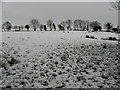 Snow on a hill, Botera Lower