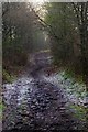 North Worcestershire Path near Blakeshall, Worcs