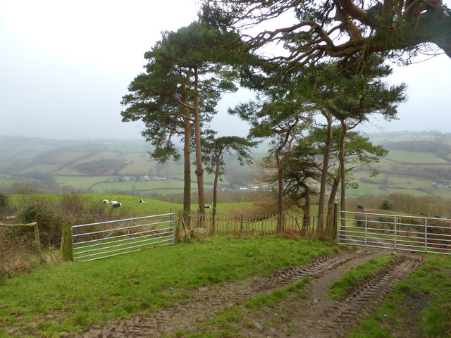 Field entrances near Llwyn-du