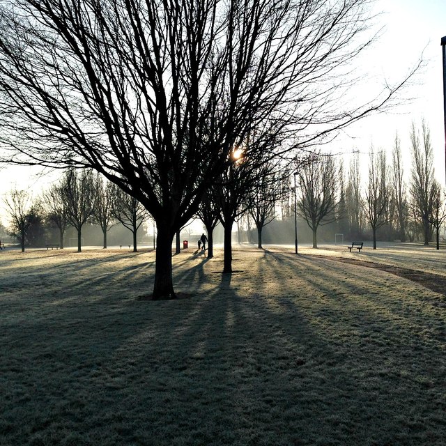 A frosty morning in Manor Farm Park