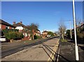 Newcastle-under-Lyme: The Avenue