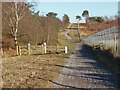 Cattle grid, Pirbright Ranges