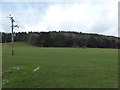 Field near Betws Lodge