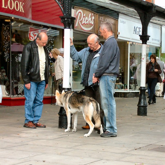 Three men and a dog