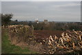 A glimpse of Southwell Minster