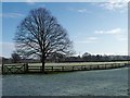 Farmland east of St Marys Church, Bruera