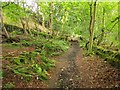 Bridleway to Doctor Hill