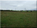 Grazing near Hoober Hall Farm