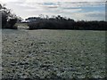 The footpath to Milton Green from the Platt