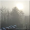 SJ9594 : Freezing Fog by Gerald England