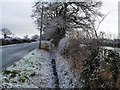 Roadside ditch, west of Grange Farm