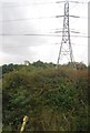 Pylon by the West Coast Line