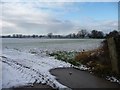 Farmland south of Newton Lane [3]