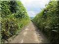 SO2650 : A very narrow road by Richard Webb