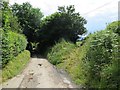 Narrow road, Lower Welson