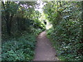 The Trans Pennine Trail 