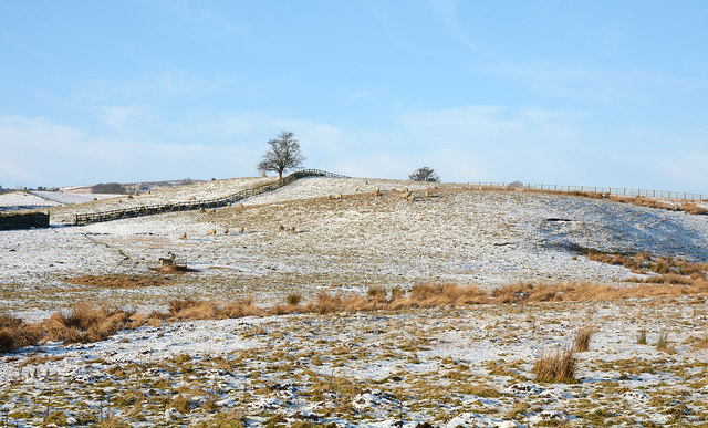 Rough grazing near Derwent Reservoir