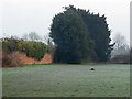 Walled garden, Laleham Abbey