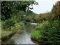 Turflea Narrows near Strines, Stockport