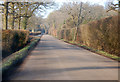 Lane near Newtye Hurst Farm