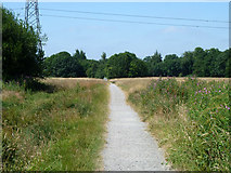 TQ0586 : Path, Denham Country Park by Robin Webster
