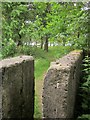 Path near Mixenden