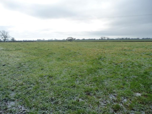 Farmland east of Guylane Brook