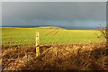 Farmland near Craigview