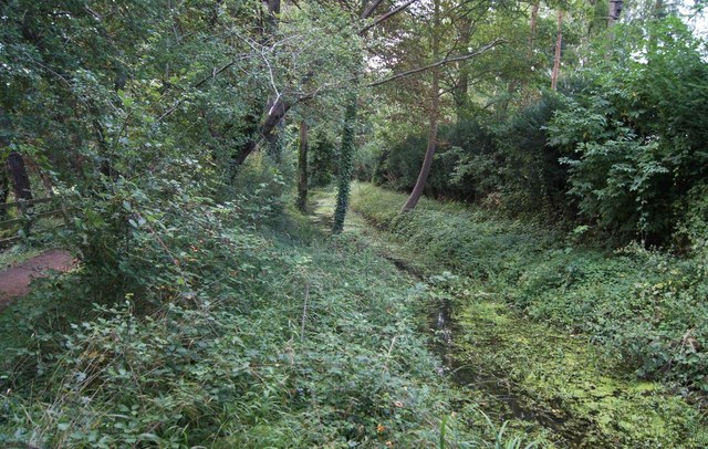 View along Hobson's Brook