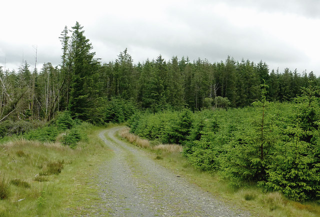 Forestry road on Esgair Fawr, Ceredigion