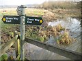 Cookham: White Brook (2)